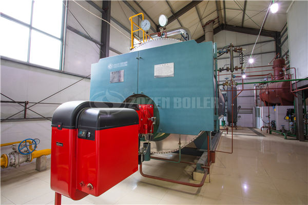 6蒸噸天然氣型燃?xì)忮仩t多少錢一套用氣量多少