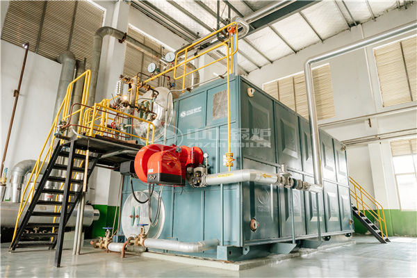 循環(huán)流化床鍋爐使用年限