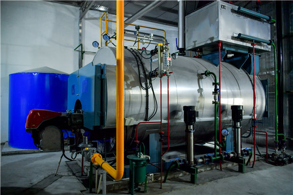 4噸的燃?xì)庹羝仩t