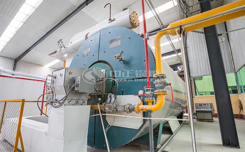 生物質燃料熱水鍋客戶案例圖片