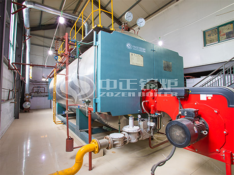 6噸、4噸WNS冷凝式燃?xì)庹羝仩t