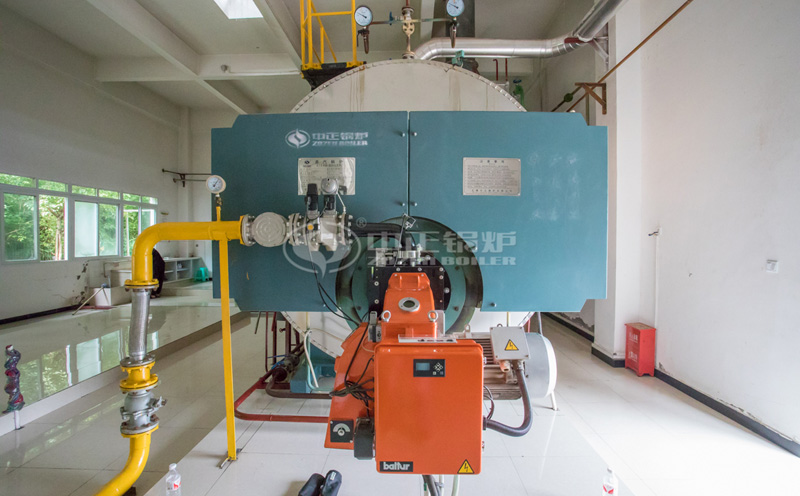 四川優(yōu)質(zhì)可移動(dòng)撬裝鍋爐客戶案例圖片