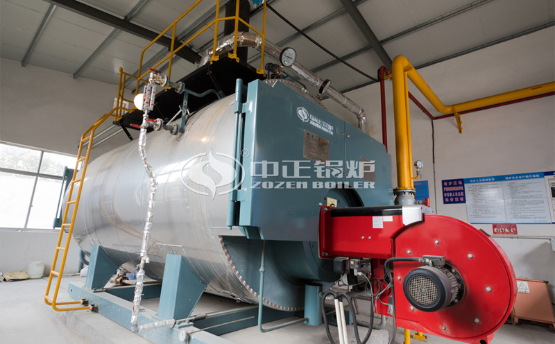 WN10鍋爐客戶案例圖片