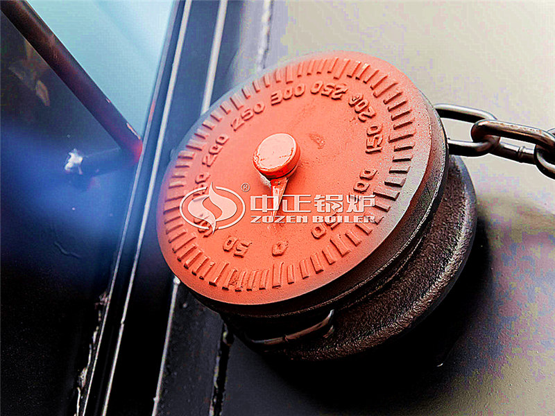 二十噸燃?xì)庹羝麪t多少錢(qián)合適