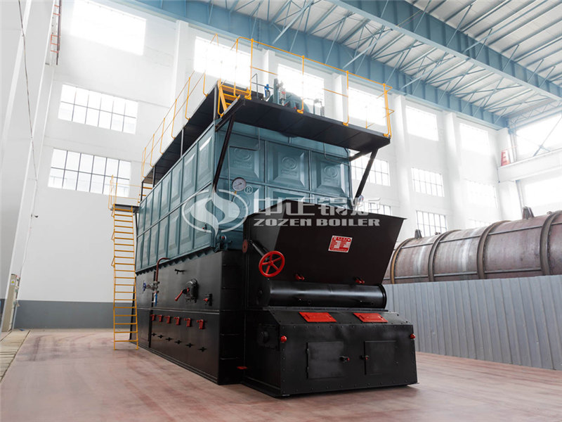 六噸燃?xì)庹羝麪t廠(chǎng)家