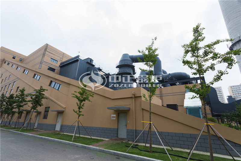 六噸燃?xì)庹羝麪t廠(chǎng)家