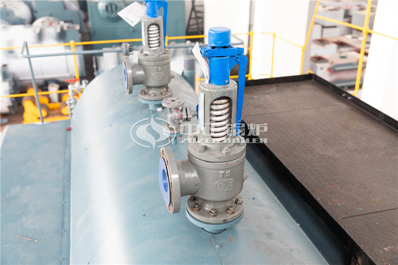 6T天然氣蒸汽鍋爐廠(chǎng)家